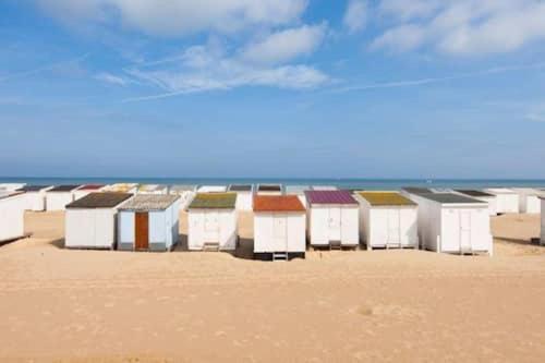 La Maison Du Bonheur * Calais